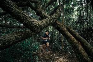 BIB: 
                            <button type="button" onclick="openModal(25664221)" class="btn btn-primary btn-sm float-right btn-popup" data-toggle="modal" data-target=".modal-high-quality">
                        <i class="fas fa-shopping-cart"></i> Add to Cart
                    </button>
                                            <button type="button" onclick="isThisMe(25664221, true)" class="btn btn-success btn-sm float-right btn-popup btn-isme hidden" data-toggle="tooltip" data-placement="bottom" title="นี่คือรูปของคุณใช่ไหม คลิกที่นี่เพื่อเอาเข้าอัลบั้ม">
                        <i class="fas fa-plus"></i> Add to album
                    </button>
                    <button type="button" onclick="isThisMe(25664221, false)" class="btn btn-warning btn-sm float-right btn-popup btn-isnotme hidden">
                        <i class="fas fa-ban"></i> Remove from album
                    </button>